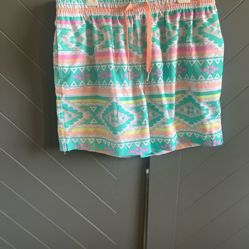 Chubbies Multicolor Trim Shorts